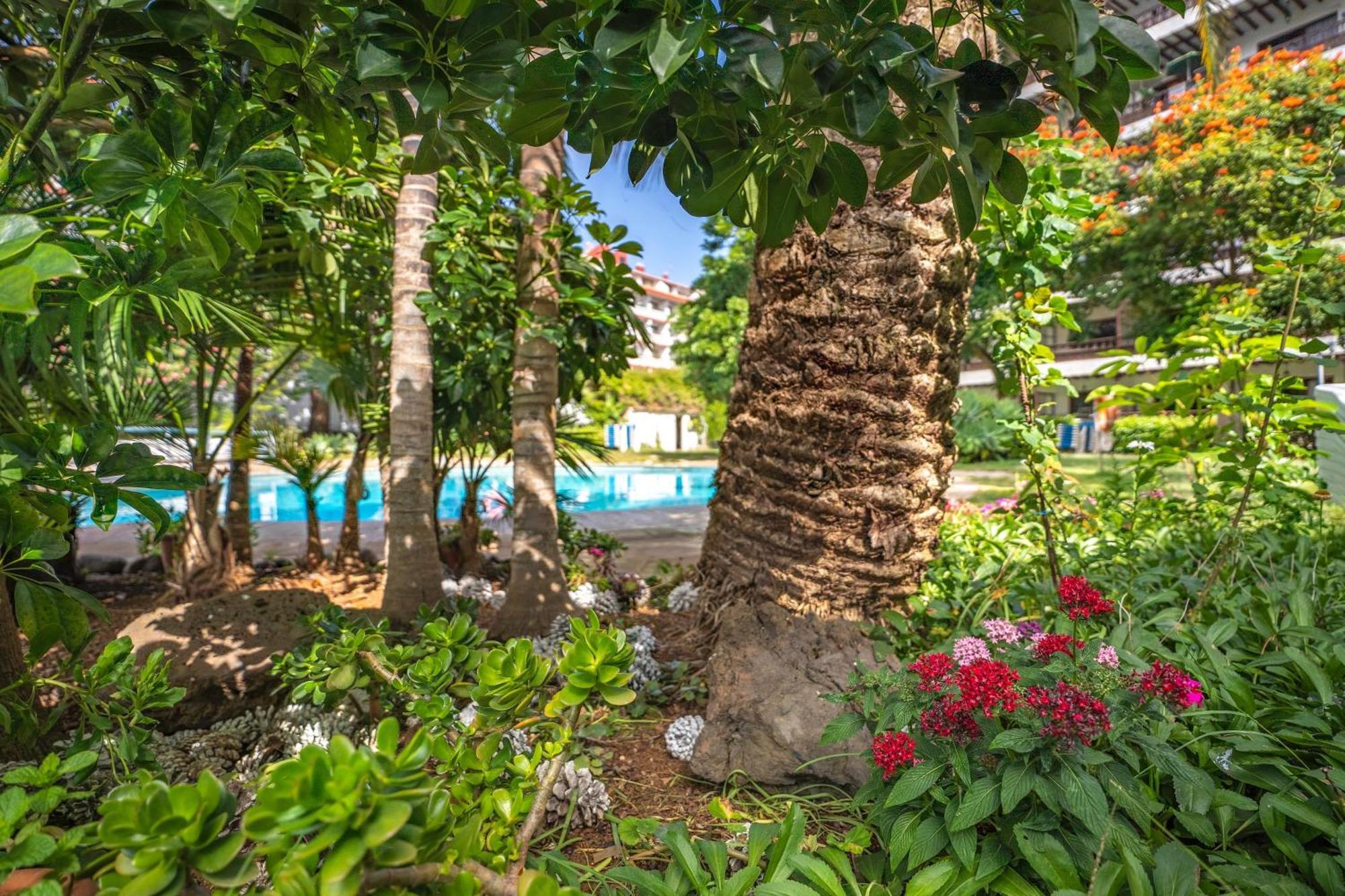 Aparthotel Coral Teide Mar Puerto de la Cruz  Exteriér fotografie